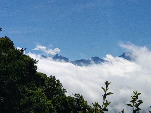 雪見休憩區（北坑山+大板根）1016303