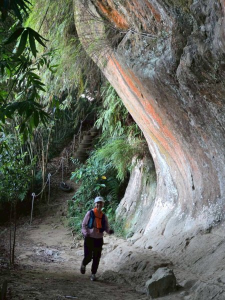 20250913_三峽鳶山爬山趣2882762