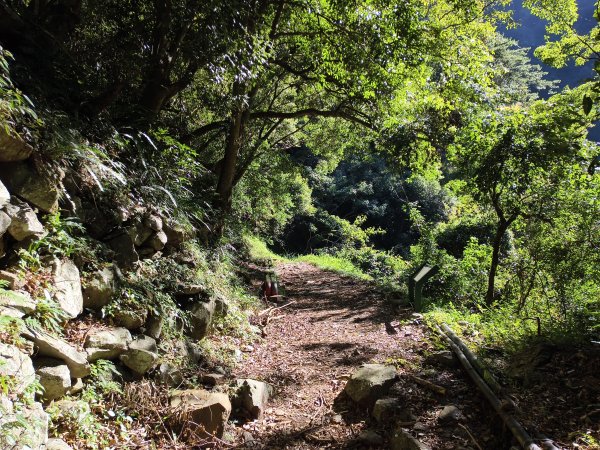 [玉山尋寶任務-07/12] 2025_0824 八通關雲龍瀑布步道2870633