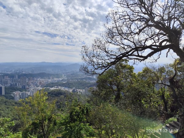 內湖碧山巖 櫻花隧道2724232