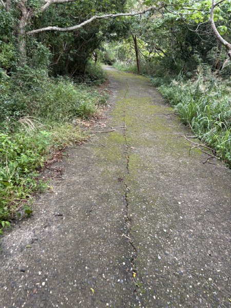 20251129女仍山步道2951765