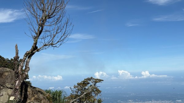 雲海2835141