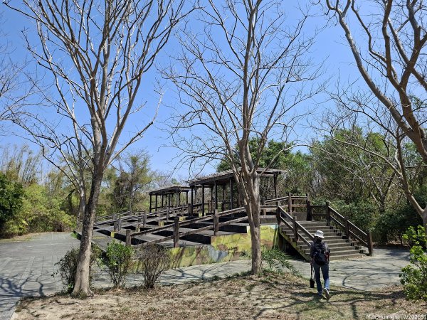 《高雄》泥岩惡地｜漯底山自然公園大O繞順訪永安、茄萣濕地202603133014689