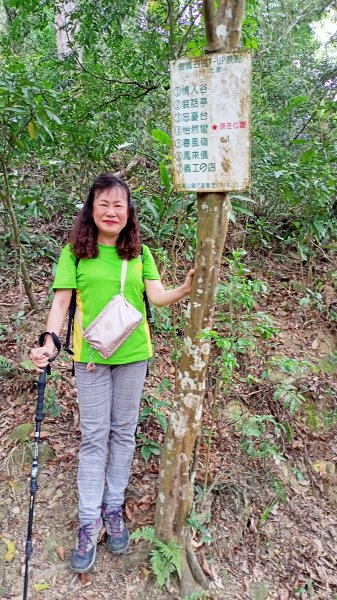 【苗栗-臺灣百大必訪步道】古道縱橫交錯的鳴鳳古道1349063