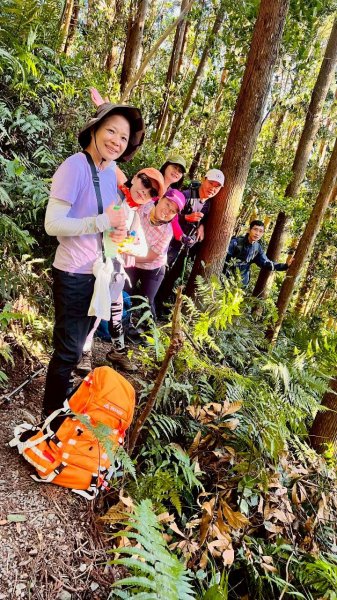 🌈11/9(日)高島縱走~高台山連走島田山山徑✨FB：熊熊趴爬走🌈2932508