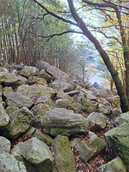 稍來神木+稍來山+稍來山南峰O型202412292678987
