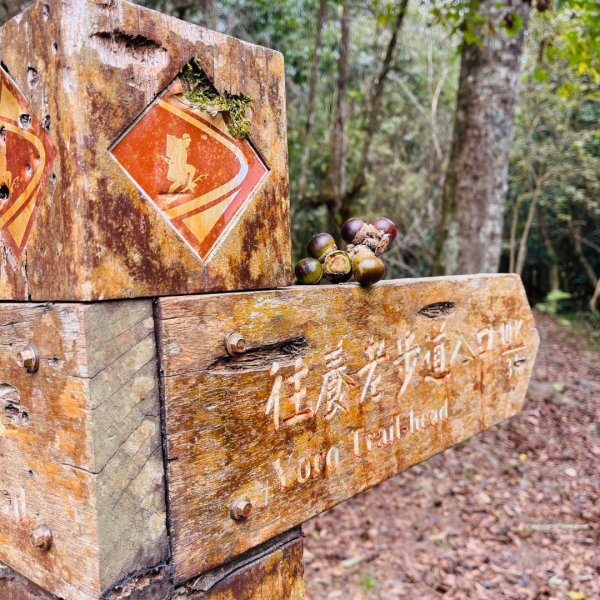 20241221 霞喀羅二天一夜露營賞楓2711950