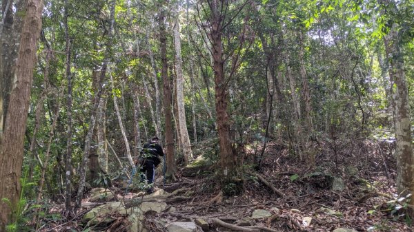 蝴蝶谷瀑布步道｜唐麻丹山登山步道 (松鶴部落上)1900084