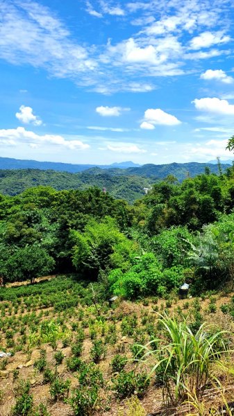 紫微聖母環山步道，五尖山，原住民族生態公園，大平紅橋，三坑自然生態公園1746440