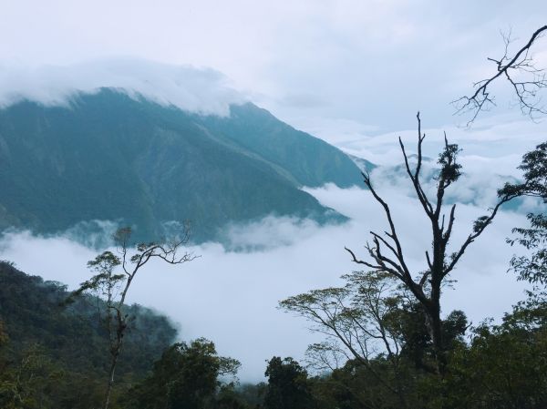 北大武山-西大武山 (五嶽)289263