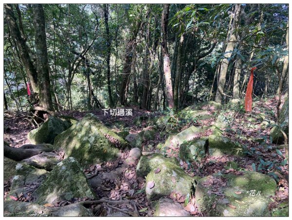 加里山前山隘勇線、騰龍山、橫龍山 連走3027653