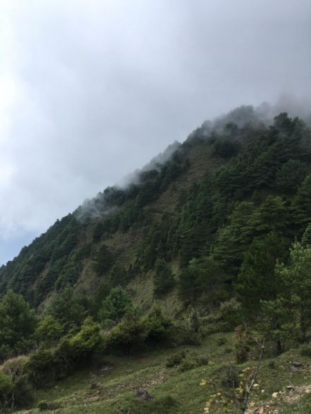 鹿林山388547