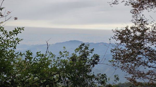 暗影山三進三出2366580