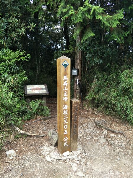 馬崙山~走不完感覺的五星級森林步道337047