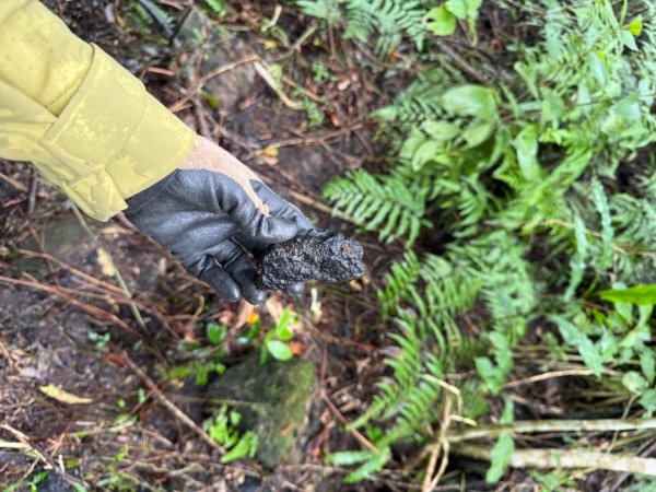 三林一后一紙及武山煤礦文化遺址8字行2991125