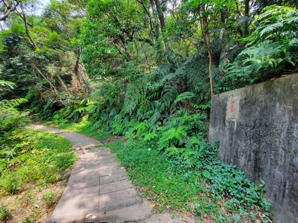 圓通寺烘爐地登山步道1425383