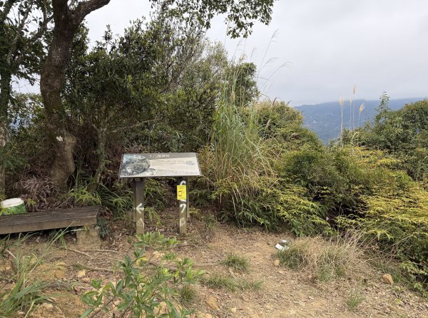 [微笑山線_第四段] 2026_0321 天上山系_十八羅漢岩3022133