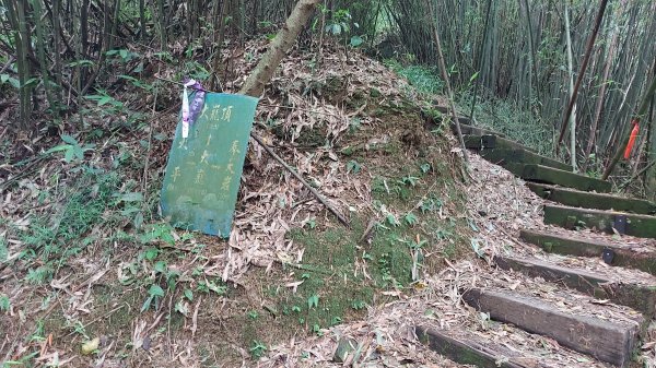 雲嘉九連峰1438988