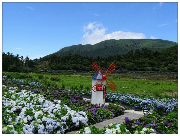 竹子湖/頂湖環狀步道986704