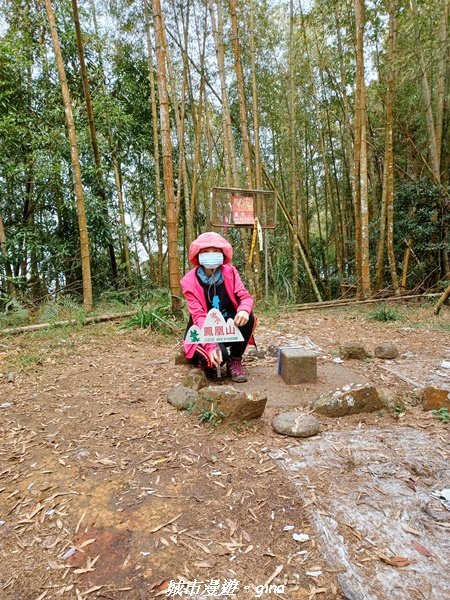 【南投。鹿谷】陡上陡下換美景相送。 小百岳集起來。 編號53小百岳溪頭鳳凰山步道1614355