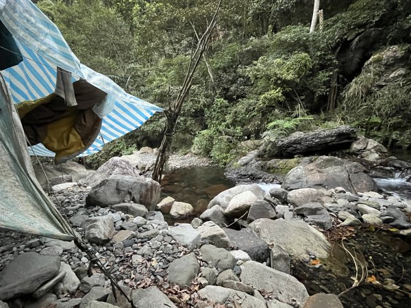 蝶夢八唐搜尋失蹤者 2025.11.252954305