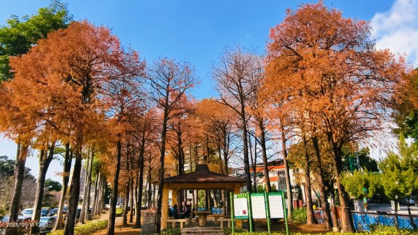 #花卉試驗中心 #永公路500巷 #平菁街42巷 #原住民公園 #士林官邸 1/42980337