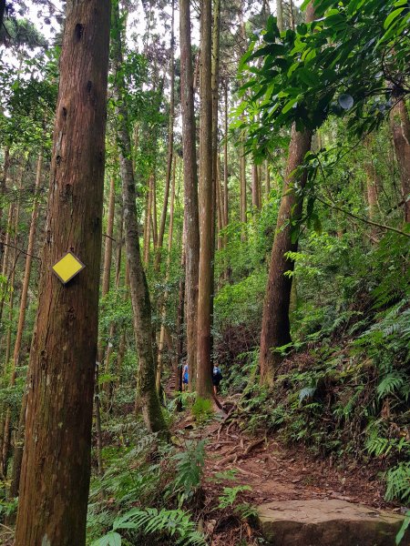 小百岳集起來-加里山2185861