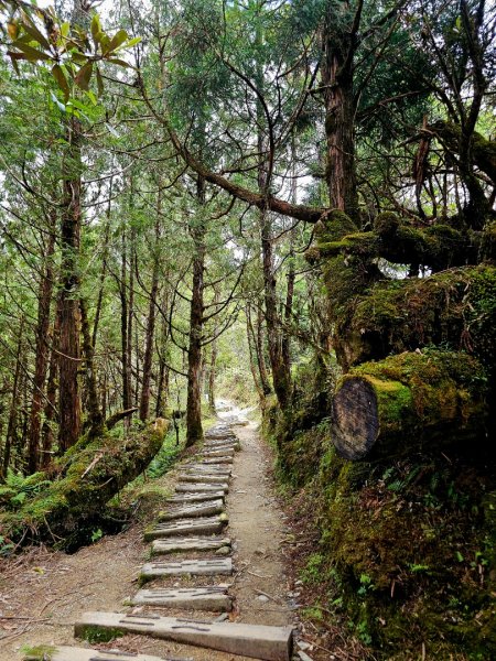 翠峰湖環山步道-(宜蘭)臺灣百大必訪步道2827554