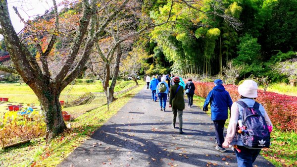 岩手縣中尊寺2930143