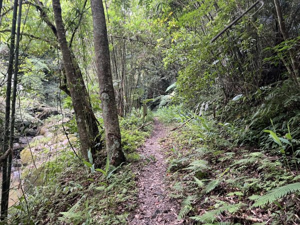 [皮皮獅探險隊-06/10] 2025_0706 四寮溪生態步道2831979