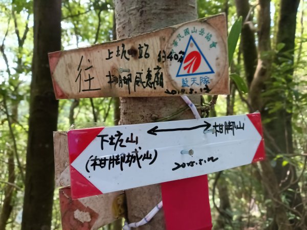 雙溪區威惠廟+下坑山+570峰+大埤格+崩山坑古道O型2814830