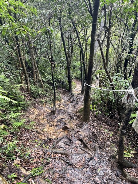 台北大縱走第四段2798717