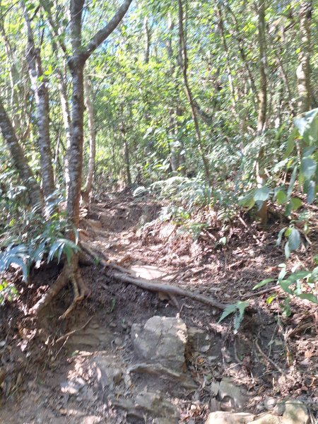 德文山(觀望山)202601052978640