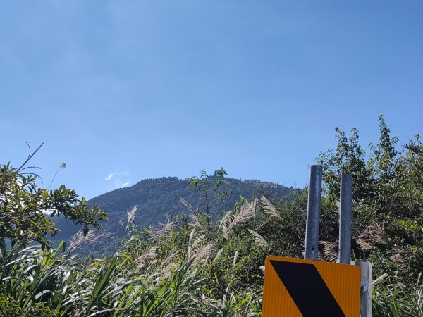 觀霧雲海山林之美2923628