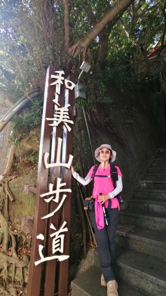 新店碧潭輕鬆走2991989