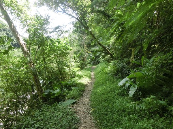 北勢溪古道．黑龍潭．灣潭古道145494