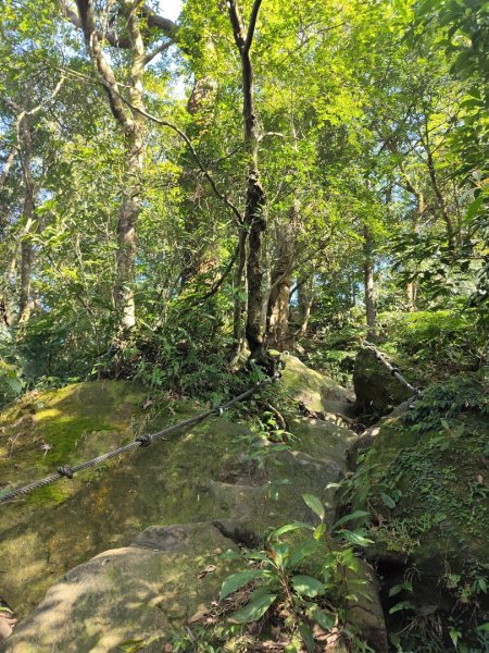 微笑山線：【二格山系】筆架連峰段2963179