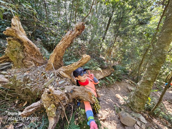 【谷關七雄】波津加(H1771.6m)肉腳配速成功2670429