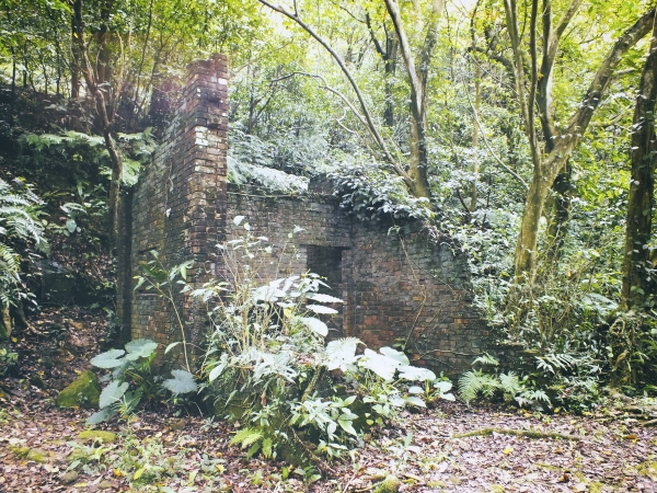 老鷹(鷲)尖山18566