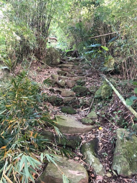 淡水山仔頂登山步道(古道)封面