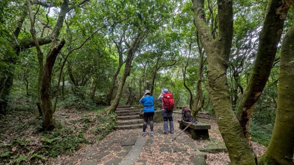 114.07.13三進三出七星山之旅2837153