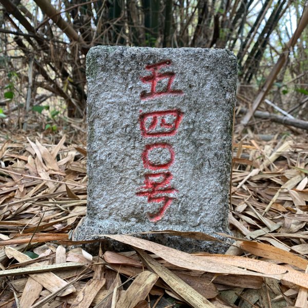 20240309高雄大坪山2451788