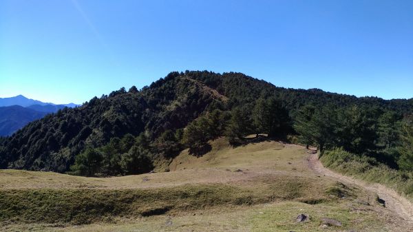 東埔山+鹿林前山+鹿林山+麟趾山228911