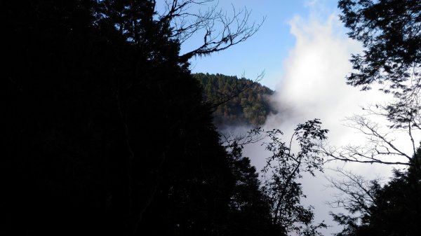 20190124太平山見晴懷古步道512490