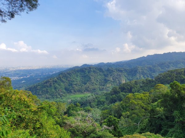 田中森林公園1059517