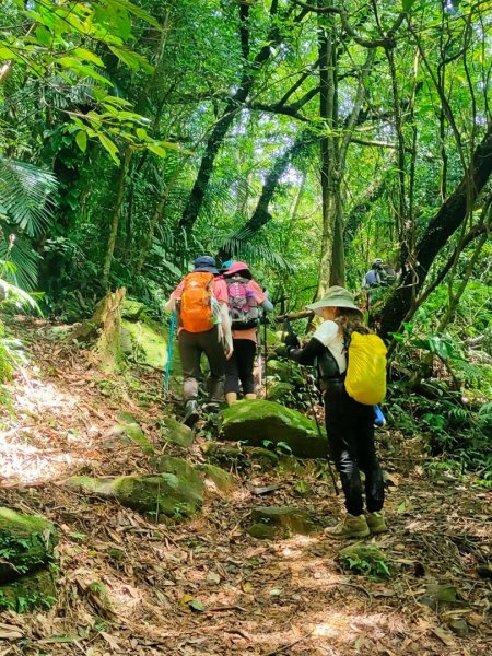 ［五指山古道］+［友蚋山南峰］（新北汐止）（2023/8/23）2261800