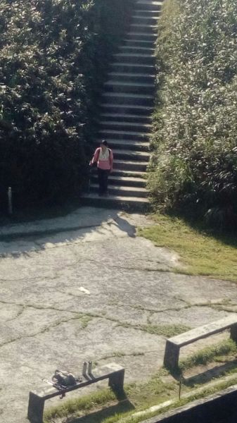 聖母登山步道O型走332326