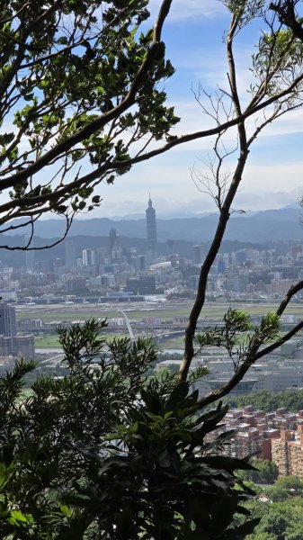 20260725 劍潭山親山步道3090591