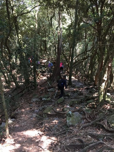 20210410台中鳶嘴山稍來山縱走1348395