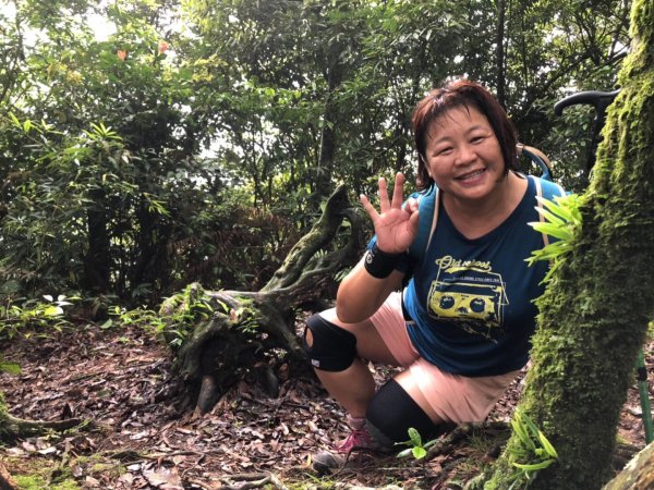 嘉南雲峰、石壁山有著讓人嚇到哭的螞蝗現身596803